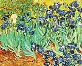 Vincent van Gogh Irises painting